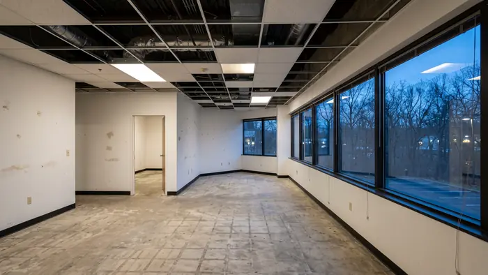 Empty second-generation office suite with an exposed ceiling grid missing some tiles, a bare concrete floor marked with old carpet adhesive lines, white partition walls and a run of aluminium-framed windows looking onto bare trees.